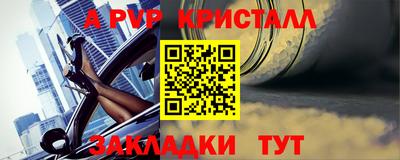 тгк Бердск