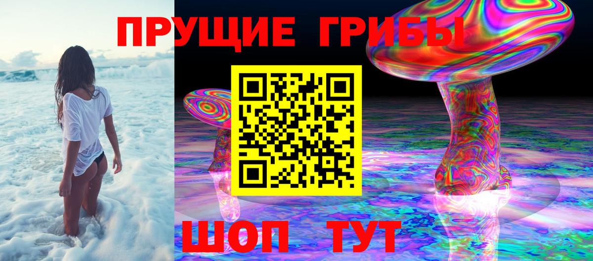 Псилоцибиновые грибы MAGIC MUSHROOMS Бор